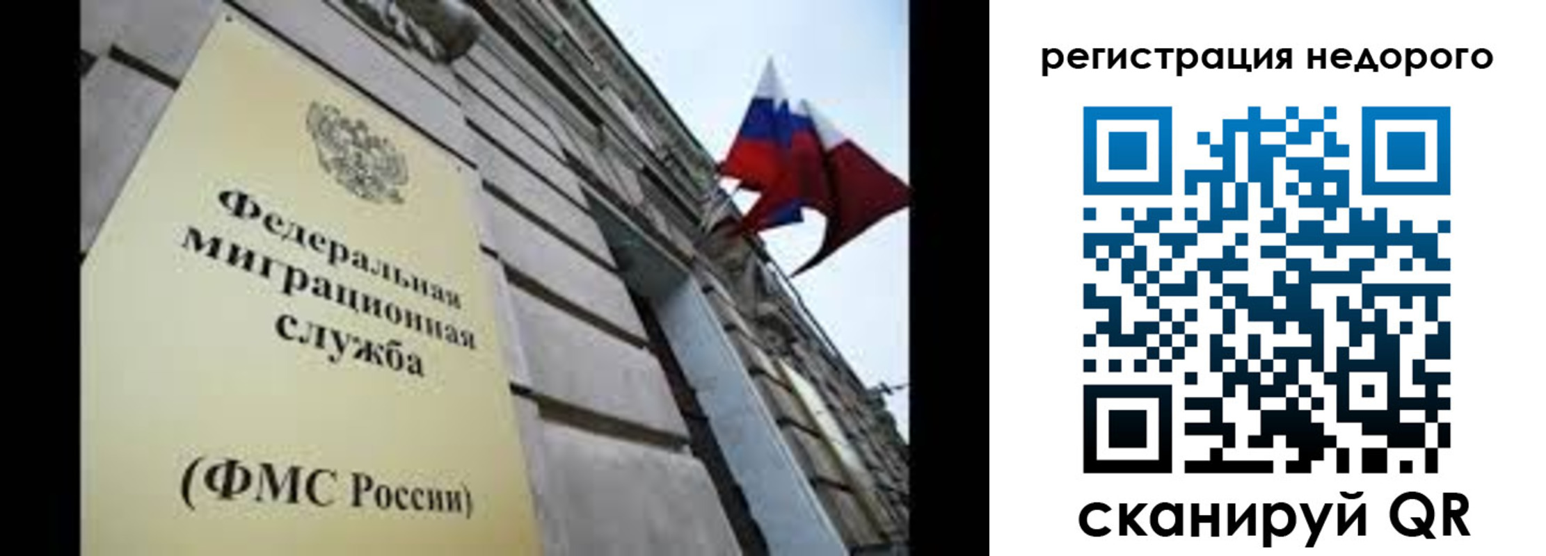 прописка поиск в Зеленогорске